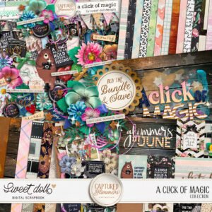Captured Glimmers: A Click of Magic {collection}