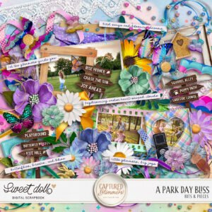 Captured Glimmers: A Park Day Bliss {bits & pieces}