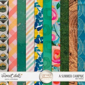 Captured Glimmers: A Summer Campnic {mix papers}