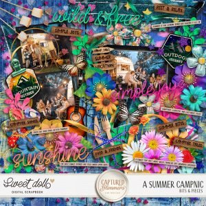 Captured Glimmers: A Summer Campnic {bits & pieces}