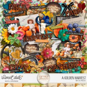 Captured Glimmers: A Golden Harvest {bits & pieces}