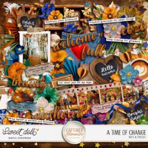 Captured Glimmers: A Time of Change {bits & pieces}