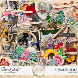 Captured Glimmers: A Thankful Heart {bits & pieces}