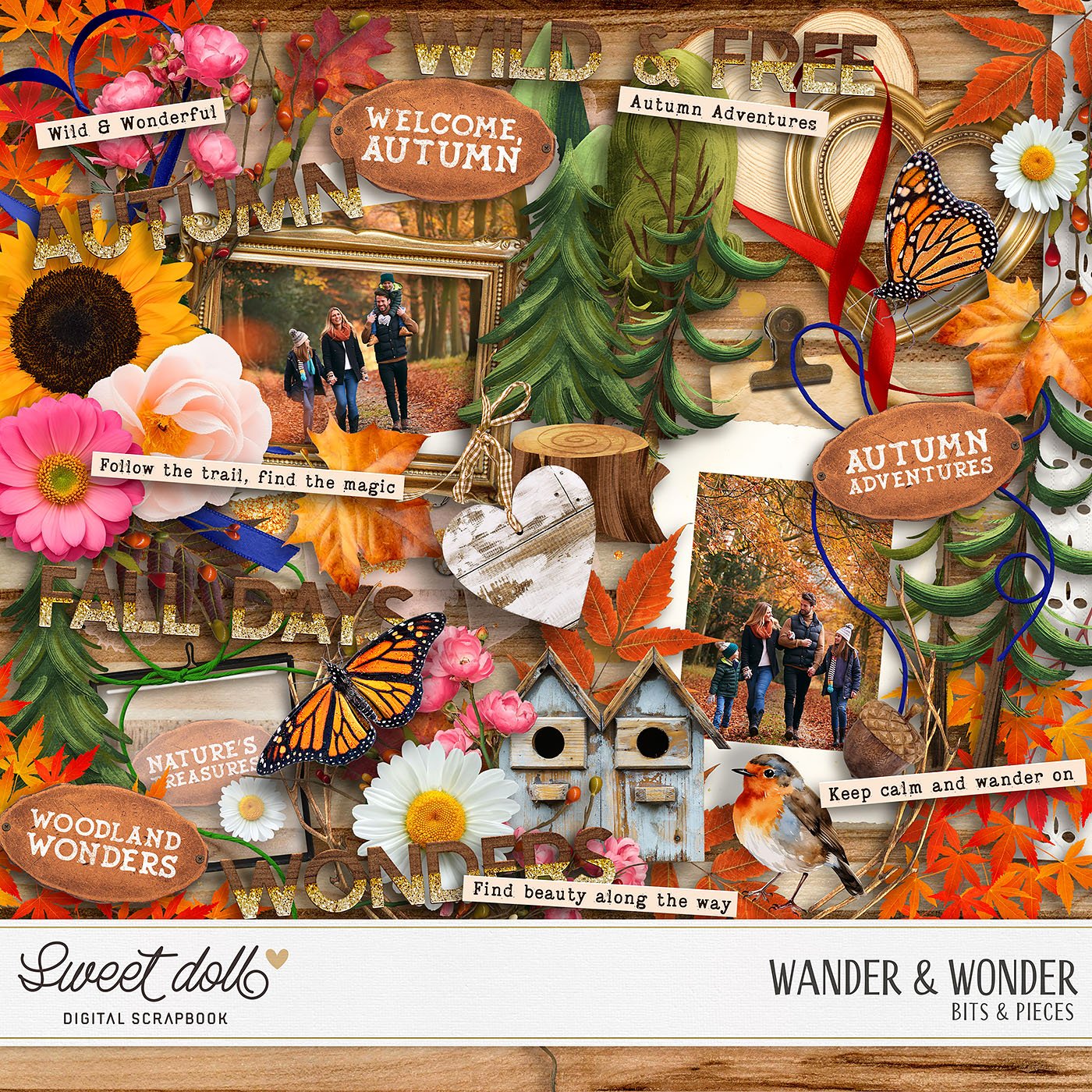 Wander & Wonder {bits & pieces}