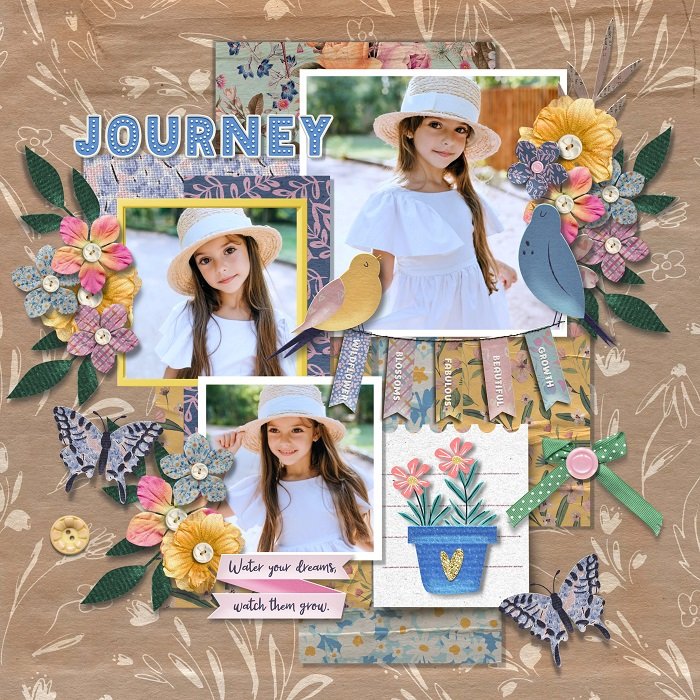 2024-02-sweet-doll-bloom-streetjpg-700