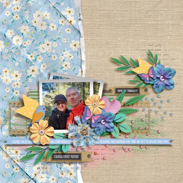 SD_CountrysideSpring-tnp-LIVEYOURBESTLIFE-ck01