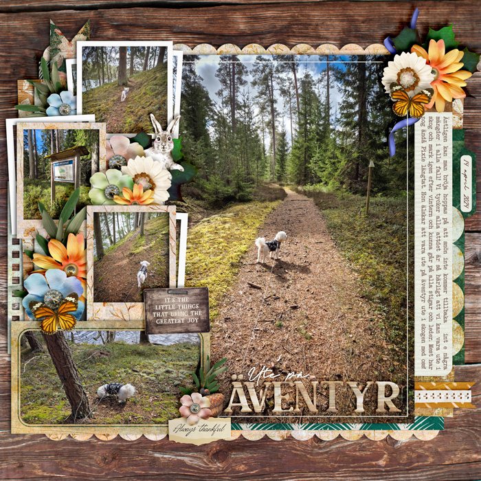 SD_WoodlandWhimiscal-cschneider-palooza329-ck01