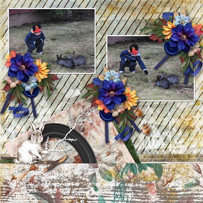 sweetdoll-woodlandwhimsical-robinoes66