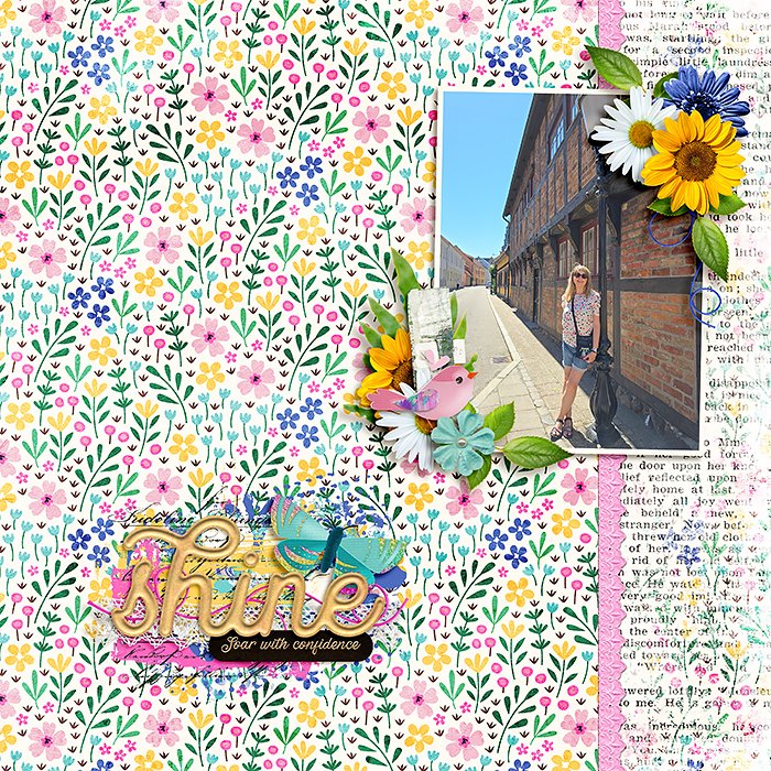 SD_Flywithoutfear-ck01-kopiera