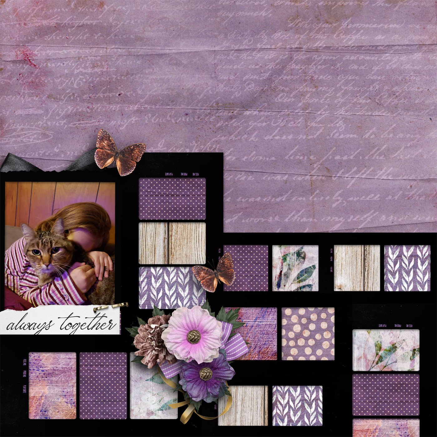 sd-wildandfearless-robinoes66