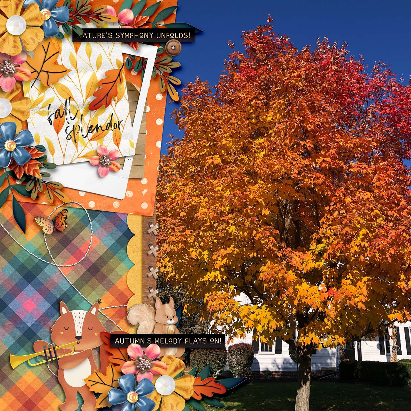 ck-sd_treemendousfun-zippyoh