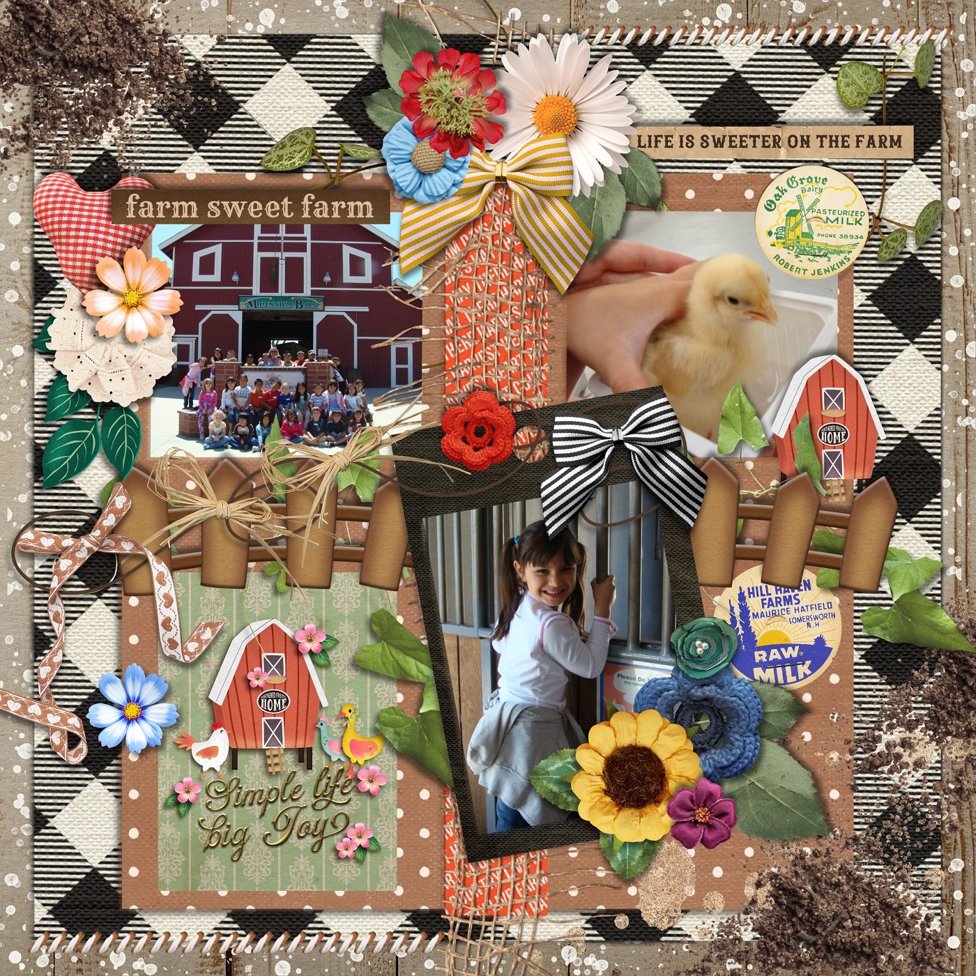 SD-Farmtifuldays-Trish