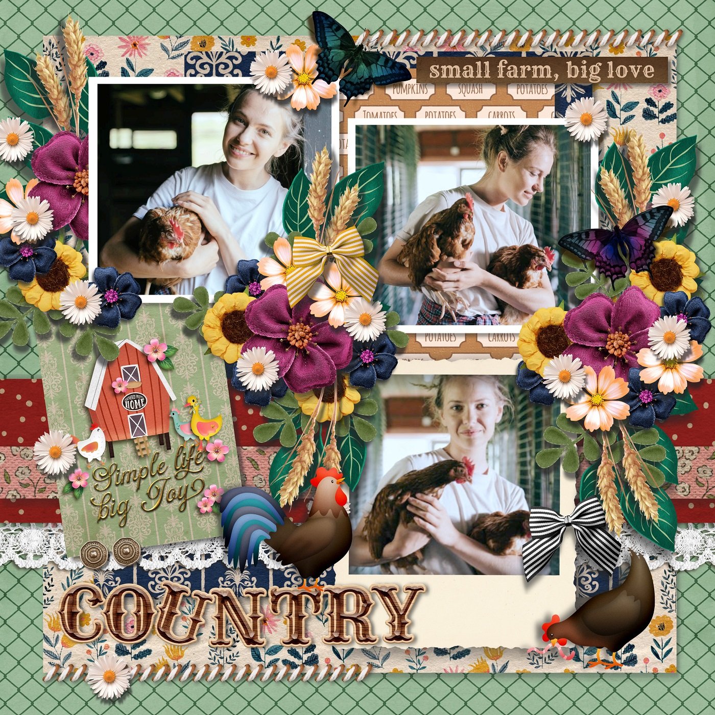 SD-Farm-tifulDays-janik