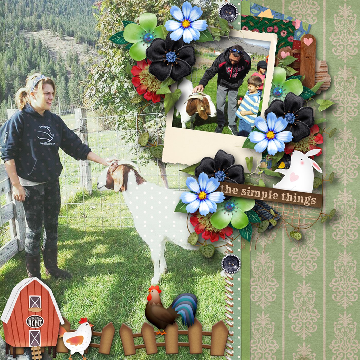 SD-Farm-tifulDays-robinoes66