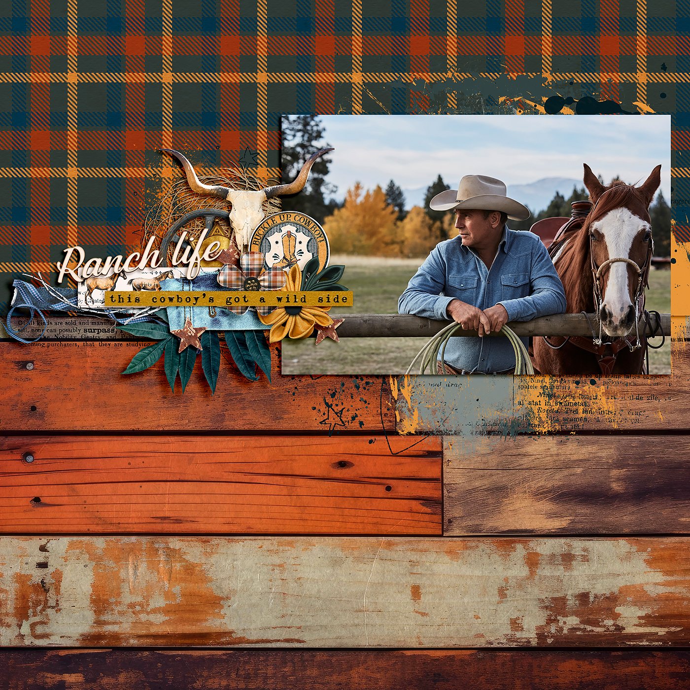 SD_rideoncowboy-ck01-kopiera