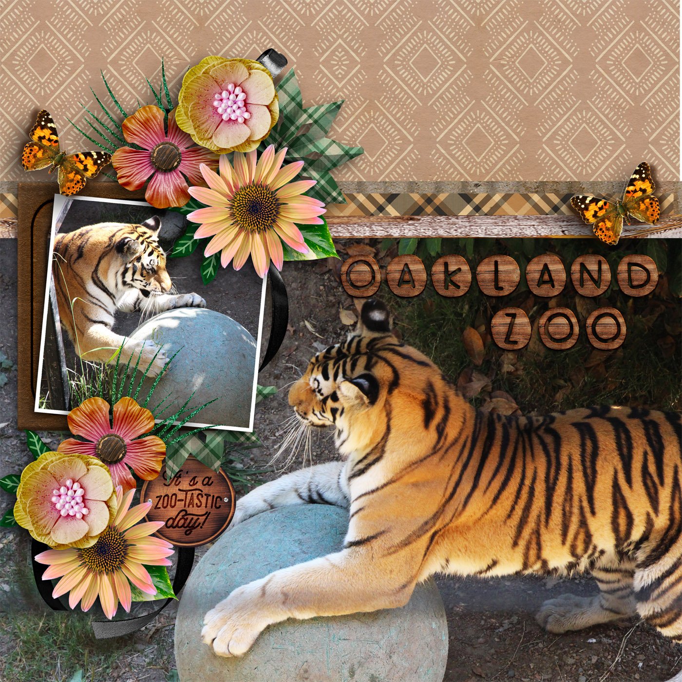 A-Zoo-full-of-Smiles-robinoes66