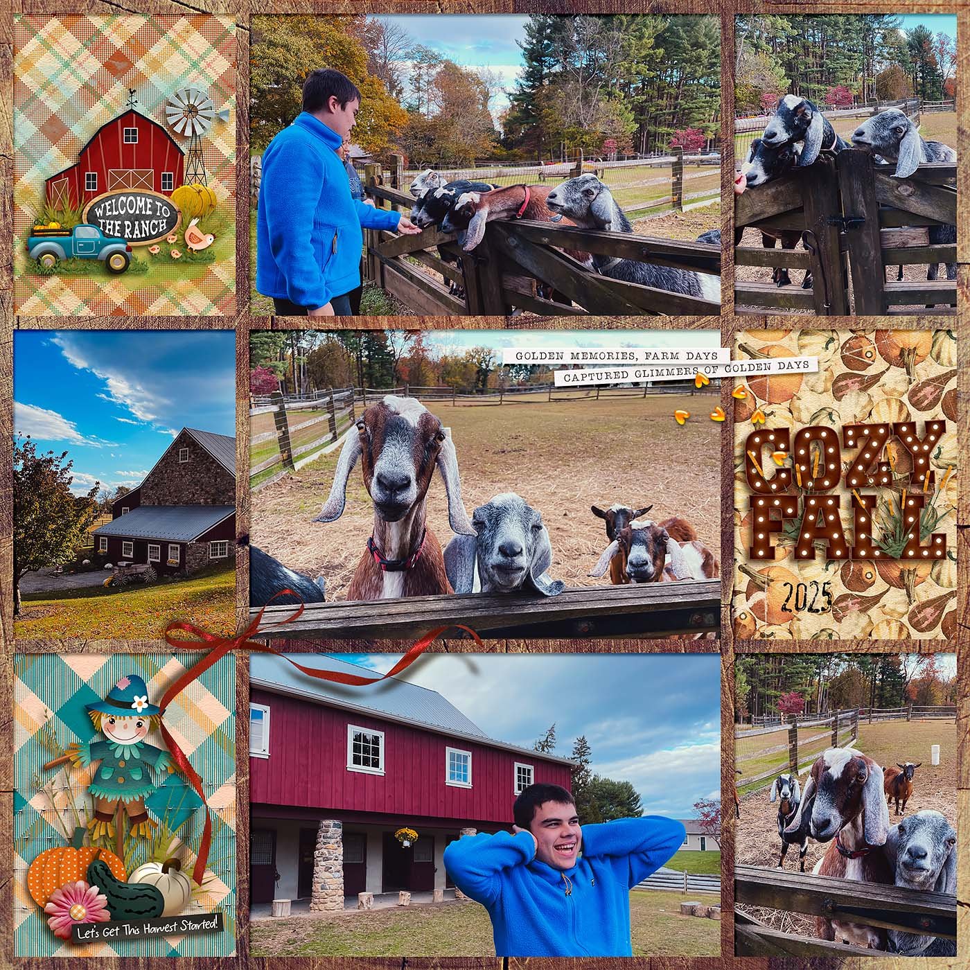 AGoldenHarvestbyLauraOD