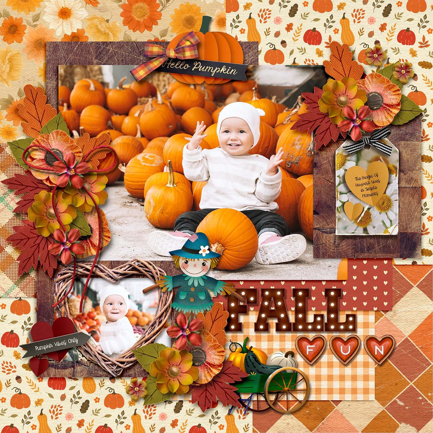 agoldenharvest-zippyoh