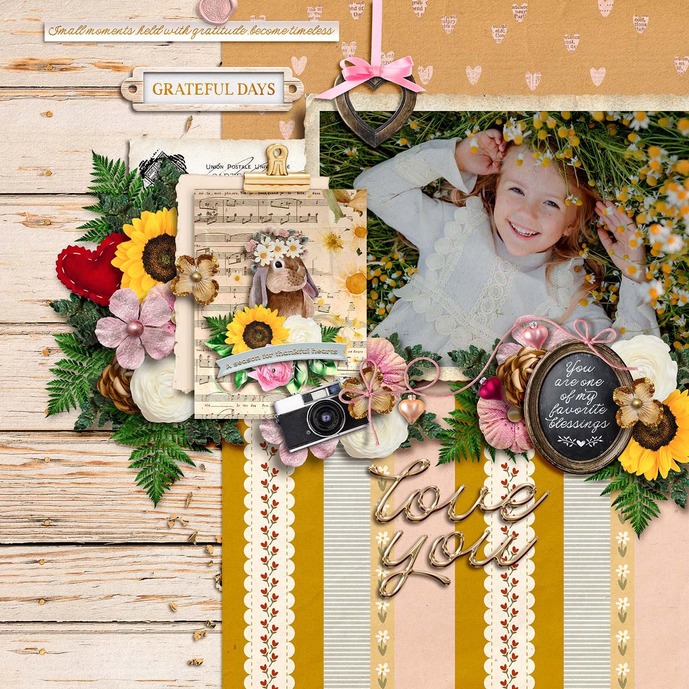 athankfulheart-zippyoh