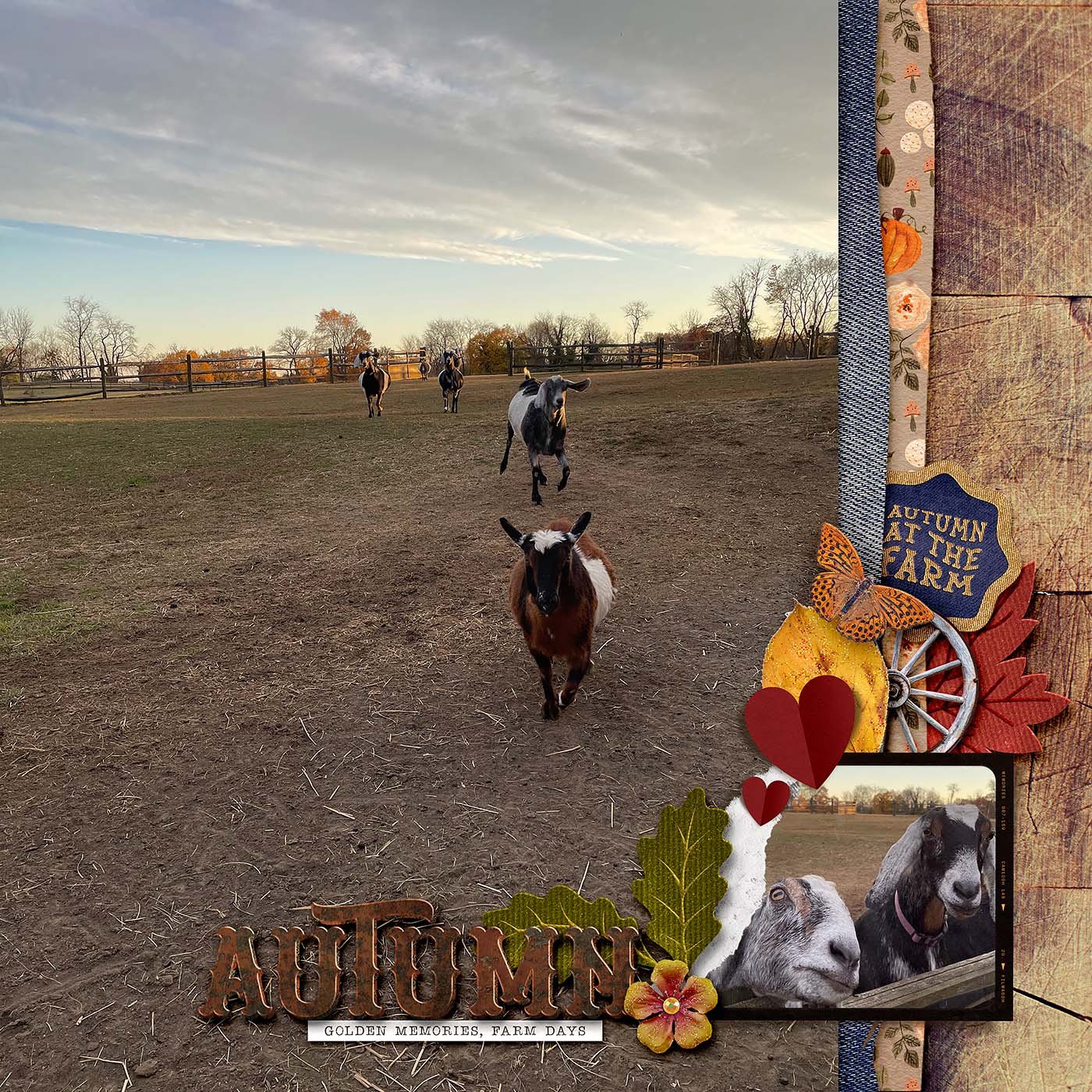 A-Golden-Harvest-by-LauraOD