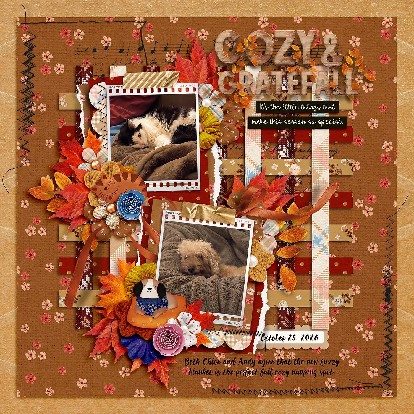 Cozy-Gratefall-by-mmbstaley